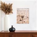 Picture of Macro Dried Florals _GroupedProduct_Rectangle_Portrait_Photography _GroupedProduct_Rectangle_Portrait_Canvas_