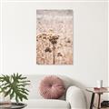 Picture of Macro Dried Florals _GroupedProduct_Rectangle_Portrait_Photography _GroupedProduct_Rectangle_Portrait_Canvas_