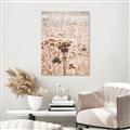 Picture of Macro Dried Florals _GroupedProduct_Rectangle_Portrait_Photography _GroupedProduct_Rectangle_Portrait_Canvas_