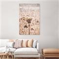 Picture of Macro Dried Florals _GroupedProduct_Rectangle_Portrait_Photography _GroupedProduct_Rectangle_Portrait_Canvas_