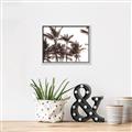 Picture of Cali Palms Sepia Collection _GroupedProduct_Rectangle_Landscape_Photography _GroupedProduct_Rectangle_Landscape_Canvas_Framed_
