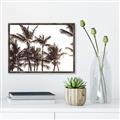 Picture of Cali Palms Sepia Collection _GroupedProduct_Rectangle_Landscape_Photography _GroupedProduct_Rectangle_Landscape_Canvas_Framed_