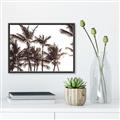 Picture of Cali Palms Sepia Collection _GroupedProduct_Rectangle_Landscape_Photography _GroupedProduct_Rectangle_Landscape_Canvas_Framed_