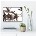 Picture of Cali Palms Sepia Collection _GroupedProduct_Rectangle_Landscape_Photography _GroupedProduct_Rectangle_Landscape_Canvas_Framed_
