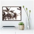 Picture of Cali Palms Sepia Collection _GroupedProduct_Rectangle_Landscape_Photography _GroupedProduct_Rectangle_Landscape_Canvas_Framed_