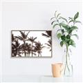 Picture of Cali Palms Sepia Collection _GroupedProduct_Rectangle_Landscape_Photography _GroupedProduct_Rectangle_Landscape_Canvas_Framed_