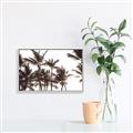 Picture of Cali Palms Sepia Collection _GroupedProduct_Rectangle_Landscape_Photography _GroupedProduct_Rectangle_Landscape_Canvas_Framed_