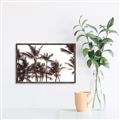 Picture of Cali Palms Sepia Collection _GroupedProduct_Rectangle_Landscape_Photography _GroupedProduct_Rectangle_Landscape_Canvas_Framed_