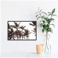 Picture of Cali Palms Sepia Collection _GroupedProduct_Rectangle_Landscape_Photography _GroupedProduct_Rectangle_Landscape_Canvas_Framed_