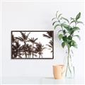 Picture of Cali Palms Sepia Collection _GroupedProduct_Rectangle_Landscape_Photography _GroupedProduct_Rectangle_Landscape_Canvas_Framed_