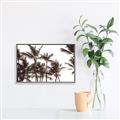 Picture of Cali Palms Sepia Collection _GroupedProduct_Rectangle_Landscape_Photography _GroupedProduct_Rectangle_Landscape_Canvas_Framed_