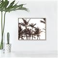 Picture of Cali Palms Sepia Collection _GroupedProduct_Rectangle_Landscape_Photography _GroupedProduct_Rectangle_Landscape_Canvas_Framed_