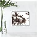 Picture of Cali Palms Sepia Collection _GroupedProduct_Rectangle_Landscape_Photography _GroupedProduct_Rectangle_Landscape_Canvas_Framed_
