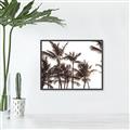 Picture of Cali Palms Sepia Collection _GroupedProduct_Rectangle_Landscape_Photography _GroupedProduct_Rectangle_Landscape_Canvas_Framed_