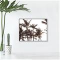 Picture of Cali Palms Sepia Collection _GroupedProduct_Rectangle_Landscape_Photography _GroupedProduct_Rectangle_Landscape_Canvas_Framed_