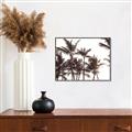 Picture of Cali Palms Sepia Collection _GroupedProduct_Rectangle_Landscape_Photography _GroupedProduct_Rectangle_Landscape_Canvas_Framed_