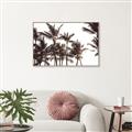 Picture of Cali Palms Sepia Collection _GroupedProduct_Rectangle_Landscape_Photography _GroupedProduct_Rectangle_Landscape_Canvas_Framed_