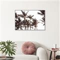 Picture of Cali Palms Sepia Collection _GroupedProduct_Rectangle_Landscape_Photography _GroupedProduct_Rectangle_Landscape_Canvas_Framed_