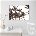 Picture of Cali Palms Sepia Collection _GroupedProduct_Rectangle_Landscape_Photography _GroupedProduct_Rectangle_Landscape_Canvas_Framed_