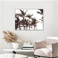 Picture of Cali Palms Sepia Collection _GroupedProduct_Rectangle_Landscape_Photography _GroupedProduct_Rectangle_Landscape_Canvas_Framed_