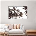 Picture of Cali Palms Sepia Collection _GroupedProduct_Rectangle_Landscape_Photography _GroupedProduct_Rectangle_Landscape_Canvas_Framed_