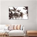 Picture of Cali Palms Sepia Collection _GroupedProduct_Rectangle_Landscape_Photography _GroupedProduct_Rectangle_Landscape_Canvas_Framed_