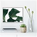Picture of Plant Bliss _GroupedProduct_Rectangle_Landscape_Photography _GroupedProduct_Rectangle_Landscape_Canvas_Framed_
