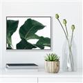 Picture of Plant Bliss _GroupedProduct_Rectangle_Landscape_Photography _GroupedProduct_Rectangle_Landscape_Canvas_Framed_