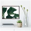 Picture of Plant Bliss _GroupedProduct_Rectangle_Landscape_Photography _GroupedProduct_Rectangle_Landscape_Canvas_Framed_