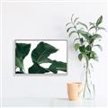Picture of Plant Bliss _GroupedProduct_Rectangle_Landscape_Photography _GroupedProduct_Rectangle_Landscape_Canvas_Framed_