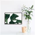 Picture of Plant Bliss _GroupedProduct_Rectangle_Landscape_Photography _GroupedProduct_Rectangle_Landscape_Canvas_Framed_