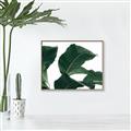 Picture of Plant Bliss _GroupedProduct_Rectangle_Landscape_Photography _GroupedProduct_Rectangle_Landscape_Canvas_Framed_
