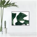 Picture of Plant Bliss _GroupedProduct_Rectangle_Landscape_Photography _GroupedProduct_Rectangle_Landscape_Canvas_Framed_
