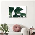 Picture of Plant Bliss _GroupedProduct_Rectangle_Landscape_Photography _GroupedProduct_Rectangle_Landscape_Canvas_Framed_