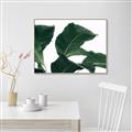 Picture of Plant Bliss _GroupedProduct_Rectangle_Landscape_Photography _GroupedProduct_Rectangle_Landscape_Canvas_Framed_
