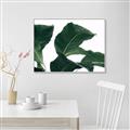 Picture of Plant Bliss _GroupedProduct_Rectangle_Landscape_Photography _GroupedProduct_Rectangle_Landscape_Canvas_Framed_