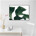 Picture of Plant Bliss _GroupedProduct_Rectangle_Landscape_Photography _GroupedProduct_Rectangle_Landscape_Canvas_Framed_