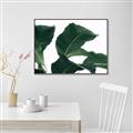 Picture of Plant Bliss _GroupedProduct_Rectangle_Landscape_Photography _GroupedProduct_Rectangle_Landscape_Canvas_Framed_