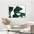 Picture of Plant Bliss _GroupedProduct_Rectangle_Landscape_Photography _GroupedProduct_Rectangle_Landscape_Canvas_Framed_