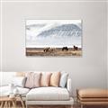 Picture of Wild Horses _GroupedProduct_Rectangle_Landscape_Photography _GroupedProduct_Rectangle_Landscape_Canvas_Framed_
