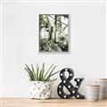 Picture of Greenhouse Serenity  _GroupedProduct_Rectangle_Portrait_Photography _GroupedProduct_Rectangle_Portrait_Canvas_Framed_