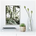 Picture of Greenhouse Serenity  _GroupedProduct_Rectangle_Portrait_Photography _GroupedProduct_Rectangle_Portrait_Canvas_Framed_