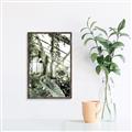Picture of Greenhouse Serenity  _GroupedProduct_Rectangle_Portrait_Photography _GroupedProduct_Rectangle_Portrait_Canvas_Framed_