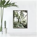 Picture of Greenhouse Serenity  _GroupedProduct_Rectangle_Portrait_Photography _GroupedProduct_Rectangle_Portrait_Canvas_Framed_