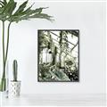 Picture of Greenhouse Serenity  _GroupedProduct_Rectangle_Portrait_Photography _GroupedProduct_Rectangle_Portrait_Canvas_Framed_