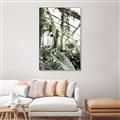 Picture of Greenhouse Serenity  _GroupedProduct_Rectangle_Portrait_Photography _GroupedProduct_Rectangle_Portrait_Canvas_Framed_