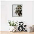 Picture of Canary Palm _GroupedProduct_Rectangle_Portrait_Photography _GroupedProduct_Rectangle_Portrait_Canvas_Framed_