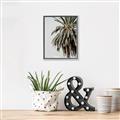 Picture of Canary Palm _GroupedProduct_Rectangle_Portrait_Photography _GroupedProduct_Rectangle_Portrait_Canvas_Framed_
