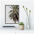 Picture of Canary Palm _GroupedProduct_Rectangle_Portrait_Photography _GroupedProduct_Rectangle_Portrait_Canvas_Framed_