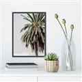 Picture of Canary Palm _GroupedProduct_Rectangle_Portrait_Photography _GroupedProduct_Rectangle_Portrait_Canvas_Framed_